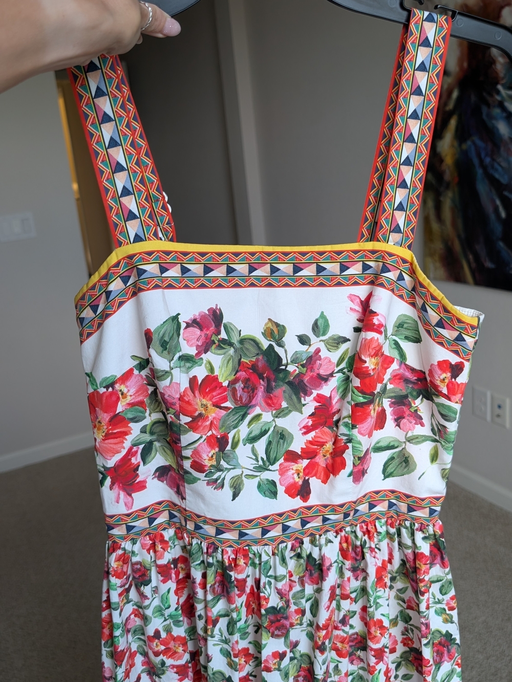 Floral Antonio Melani  Sundress with Geometric Trim